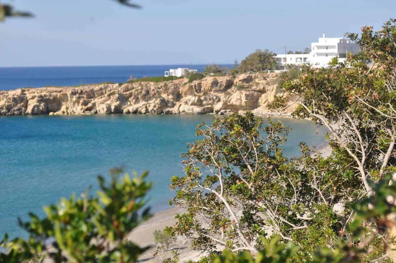 Beachfront Villa On Crete - Kirvas, Member Of Pelagaios Villas 考特索纳里 外观 照片